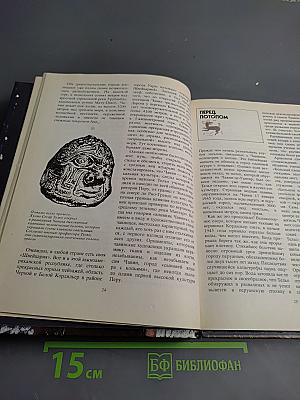 Поклоняющиеся звездам