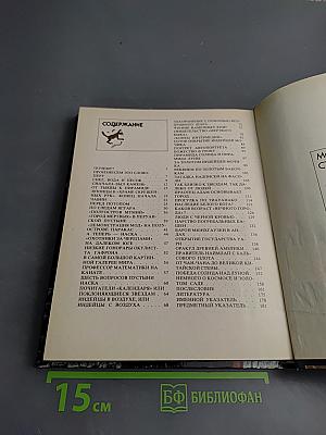 Поклоняющиеся звездам