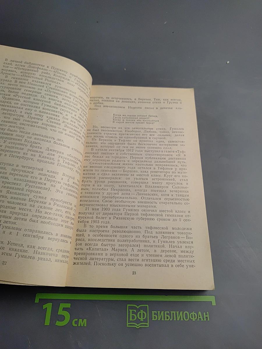 Николай Гумилев. Жизнь поэта по материалам домашнего архива семьи Лукницких