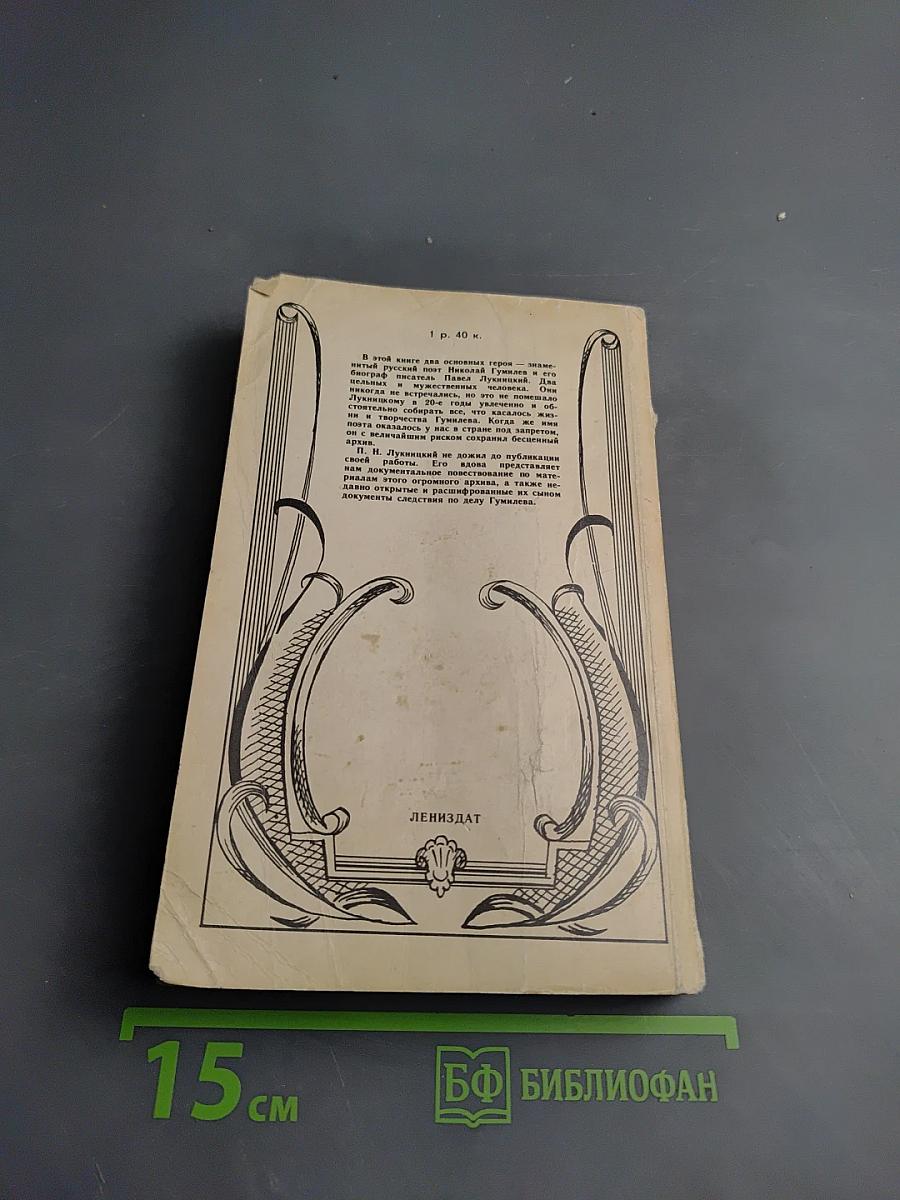 Николай Гумилев. Жизнь поэта по материалам домашнего архива семьи Лукницких