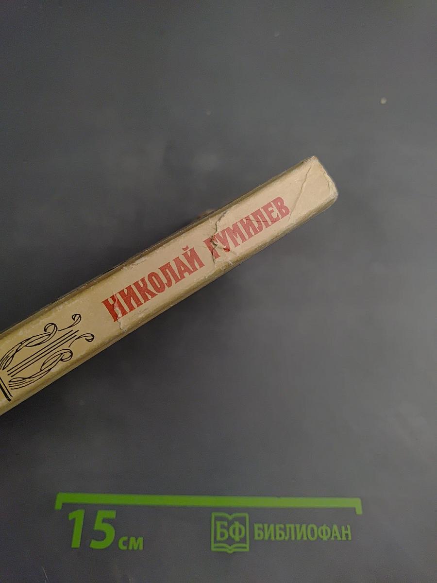 Николай Гумилев. Жизнь поэта по материалам домашнего архива семьи Лукницких