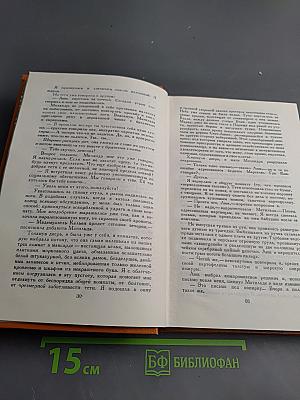 Встань и иди. Супружеская жизнь