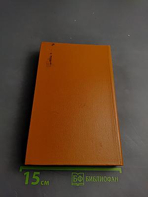 Встань и иди. Супружеская жизнь