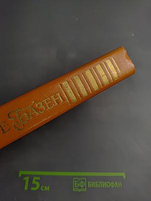 Встань и иди. Супружеская жизнь