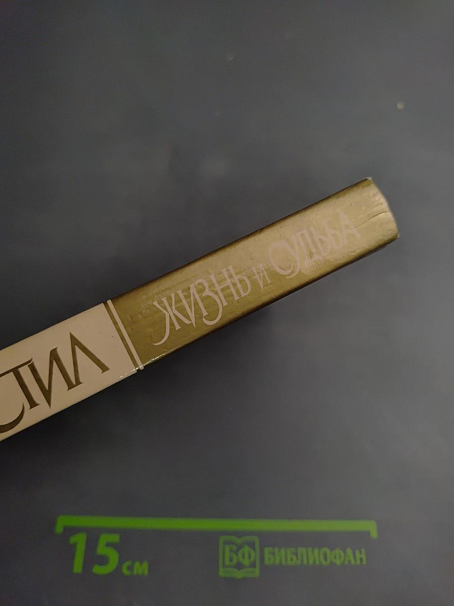 Жизнь и Судьба