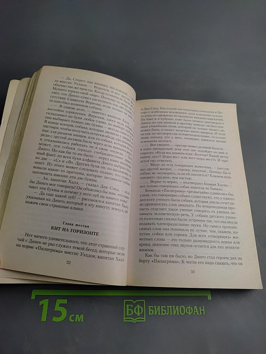 Пятнадцатилетний капитан