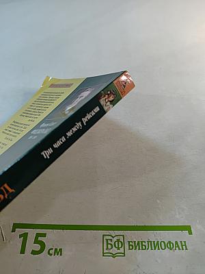 Три часа между рейсами