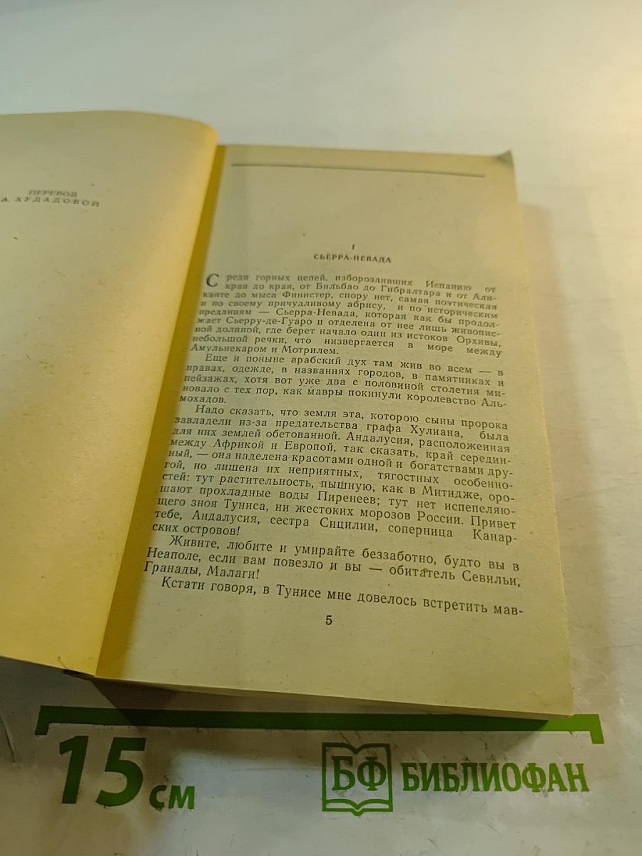 Сальтеадор. Женщина с бархаткой на шее