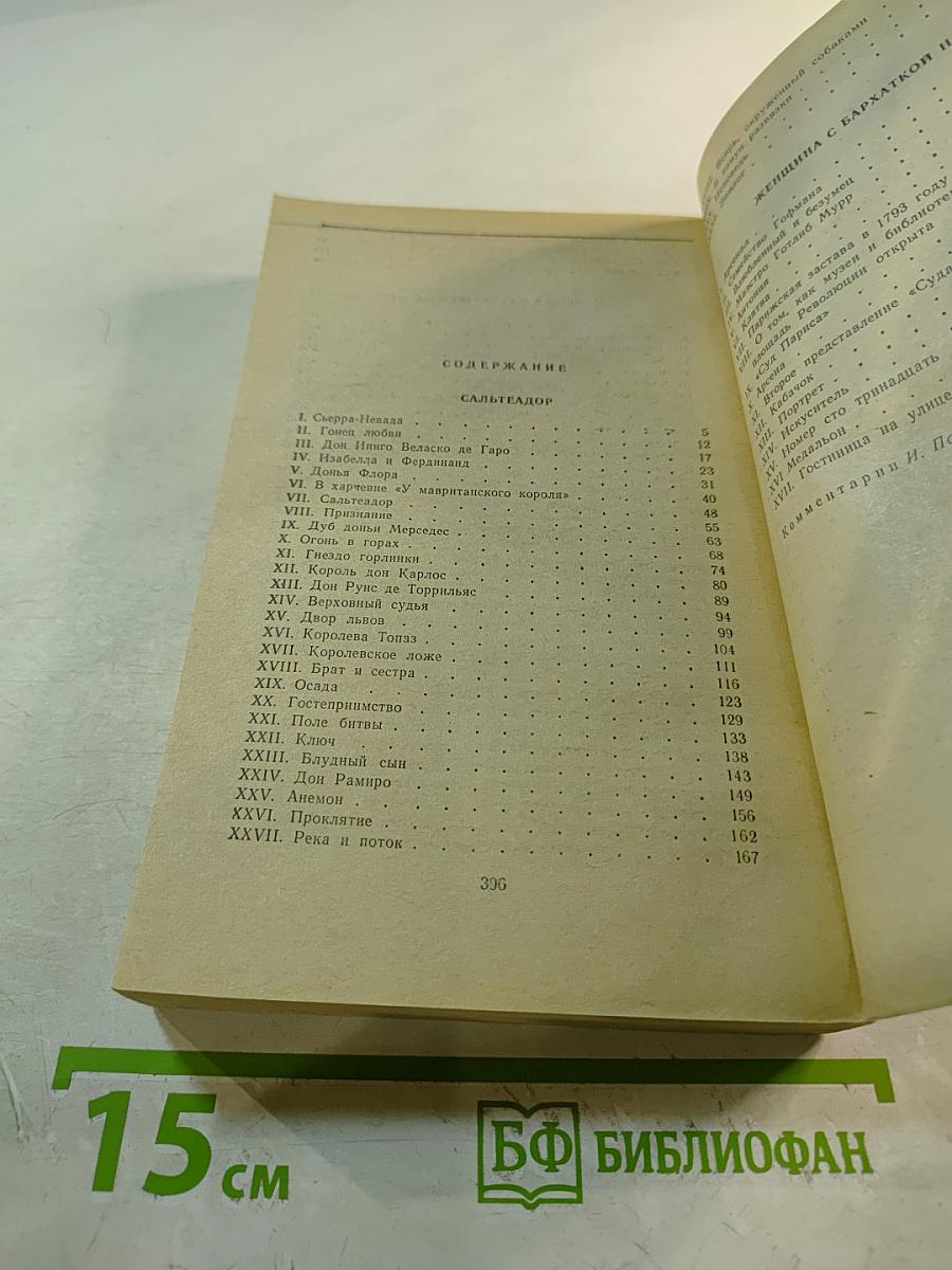 Сальтеадор. Женщина с бархаткой на шее