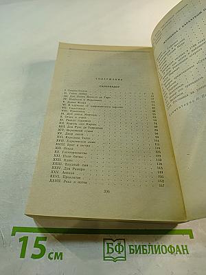 Сальтеадор. Женщина с бархаткой на шее