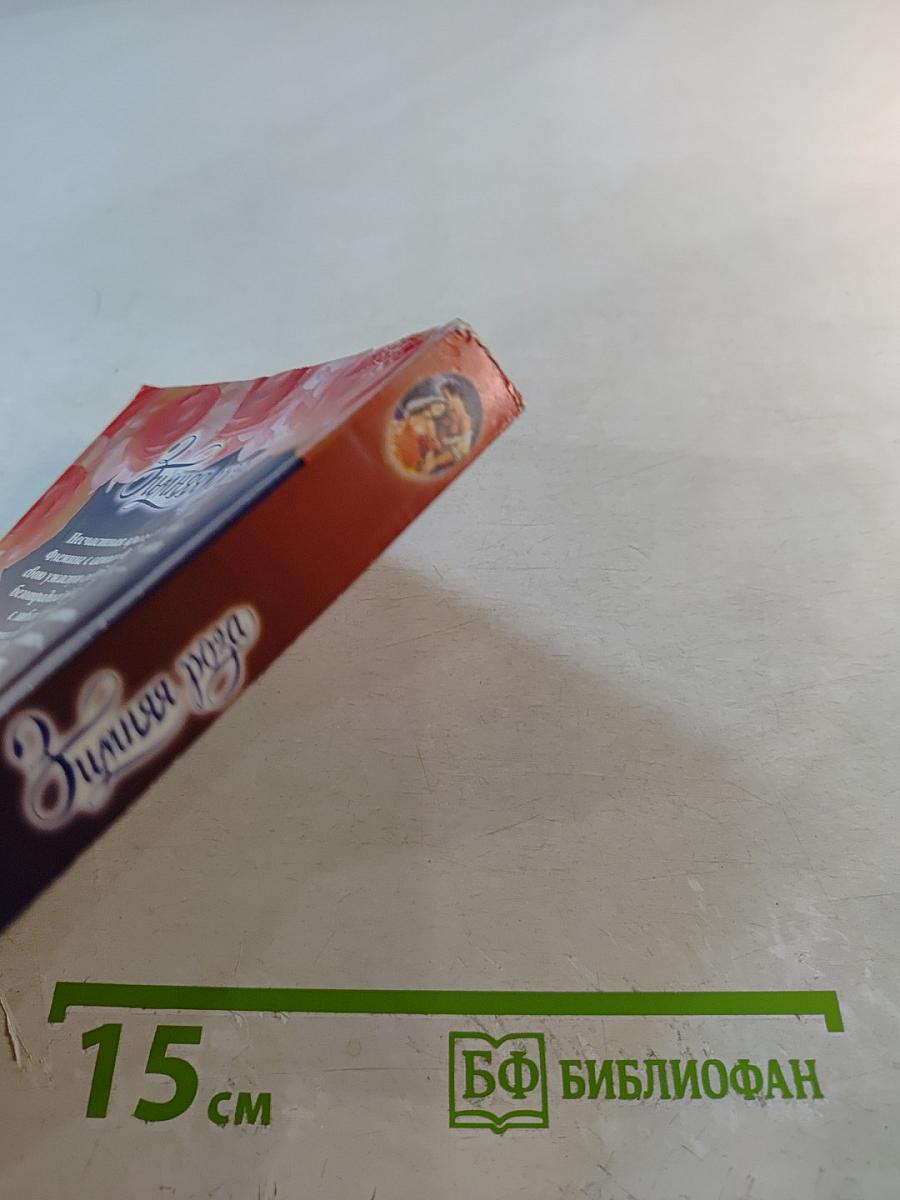 Зимняя роза