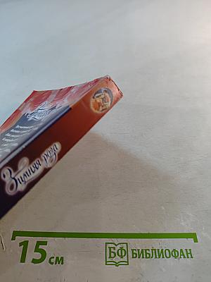 Зимняя роза