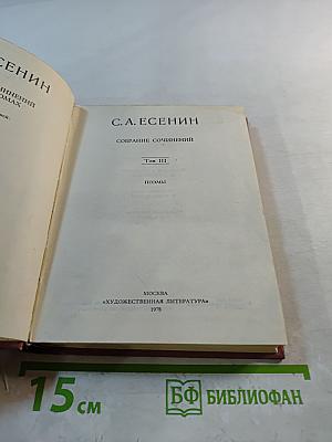 Собрание сочинений. Том III. Поэмы