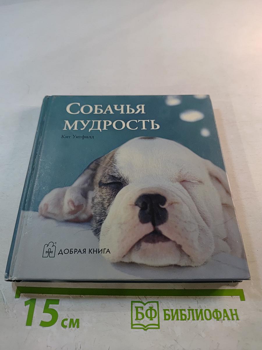 Собачья мудрость