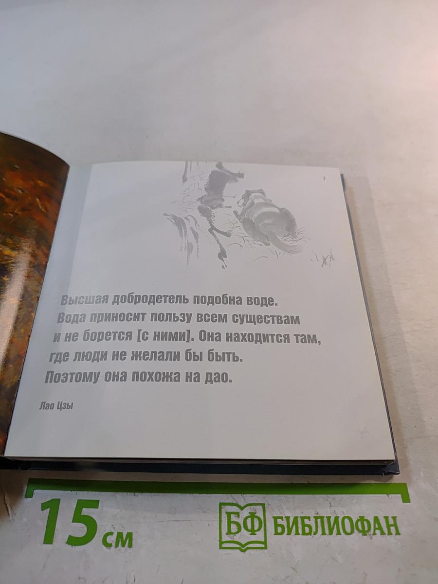 Собачья мудрость