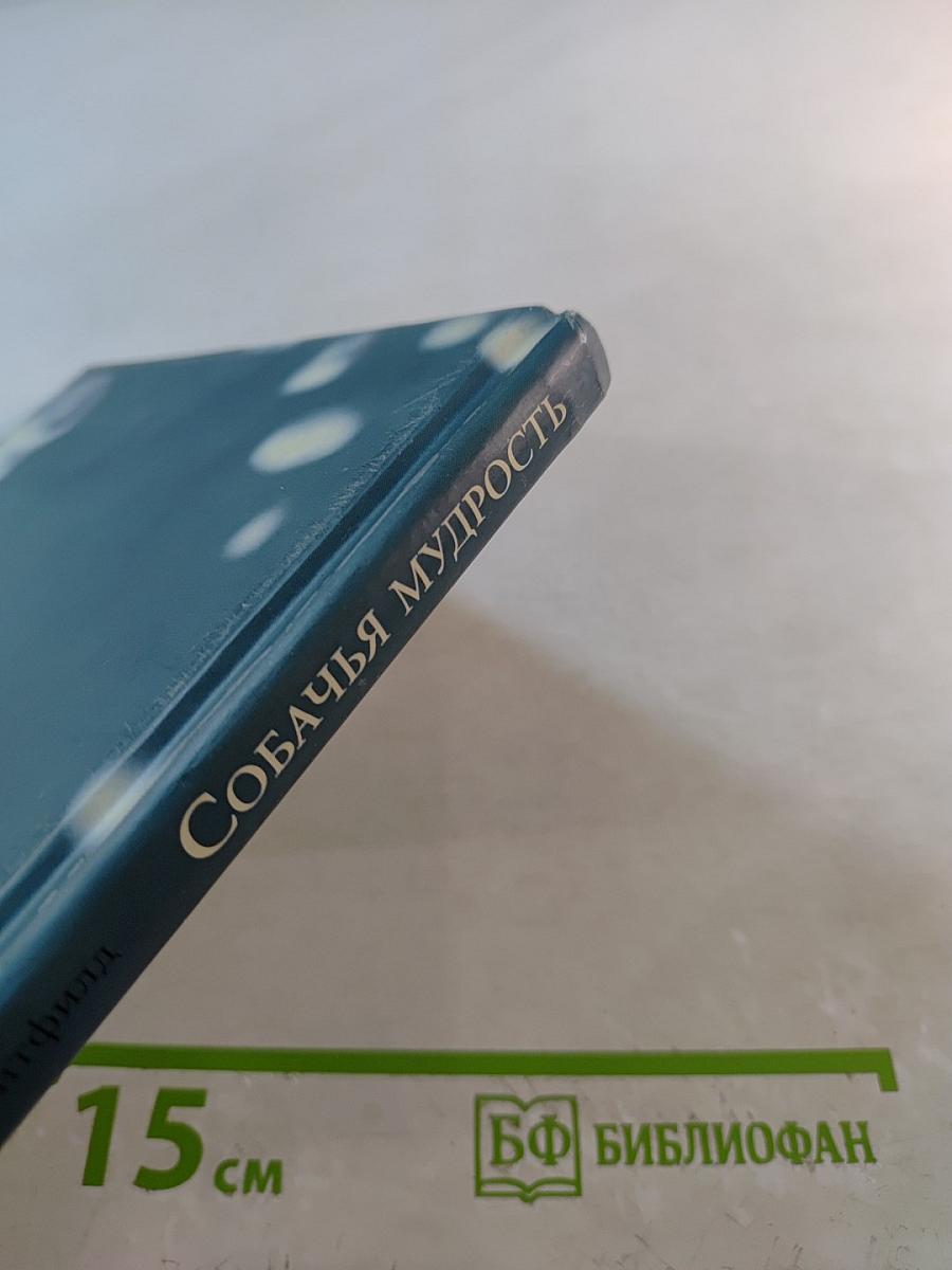 Собачья мудрость