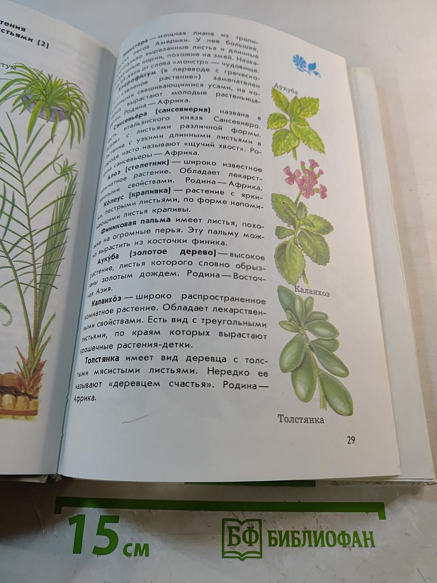 Атлас-определитель От земли до неба для учащихся начальных классов