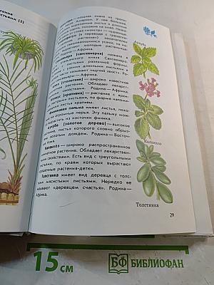 Атлас-определитель От земли до неба для учащихся начальных классов