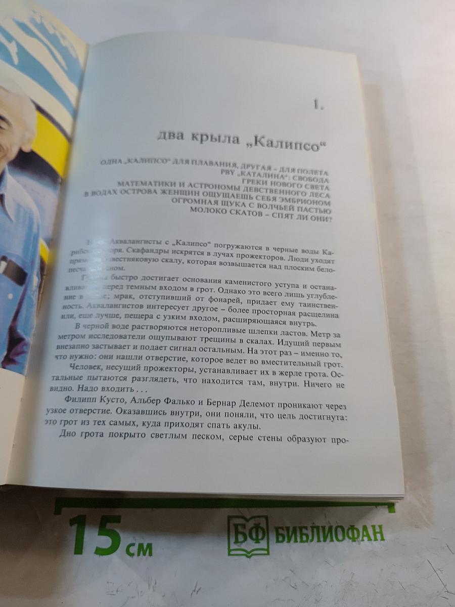 Сюрпризы моря