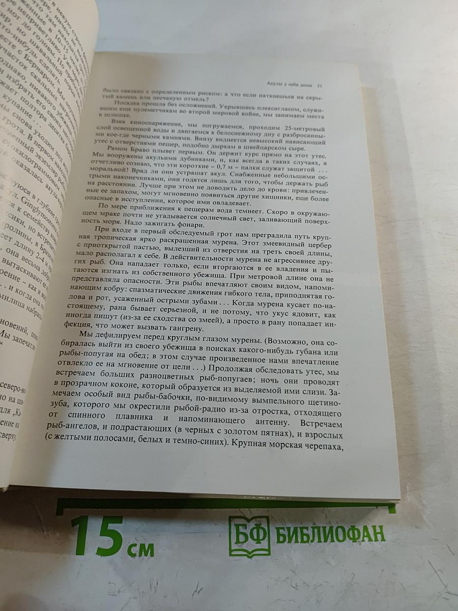 Сюрпризы моря