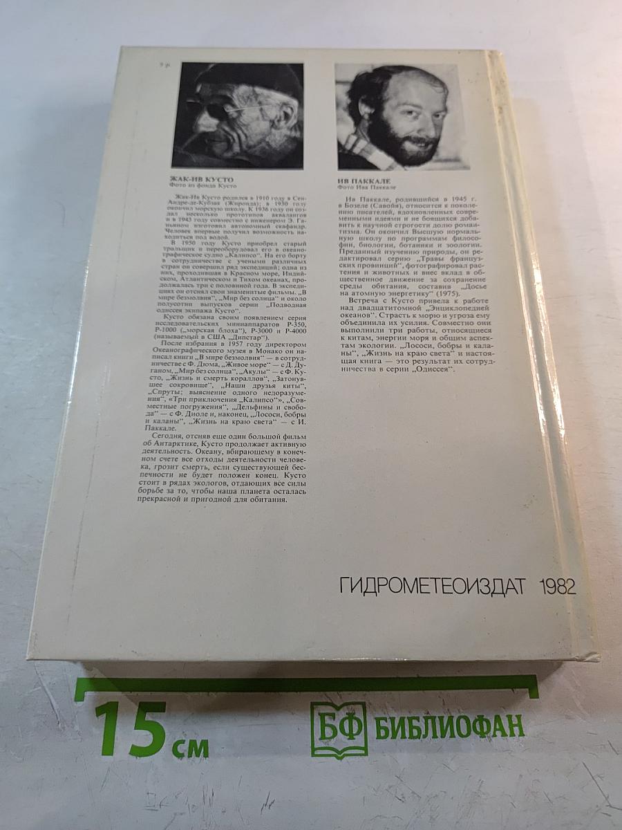 Сюрпризы моря