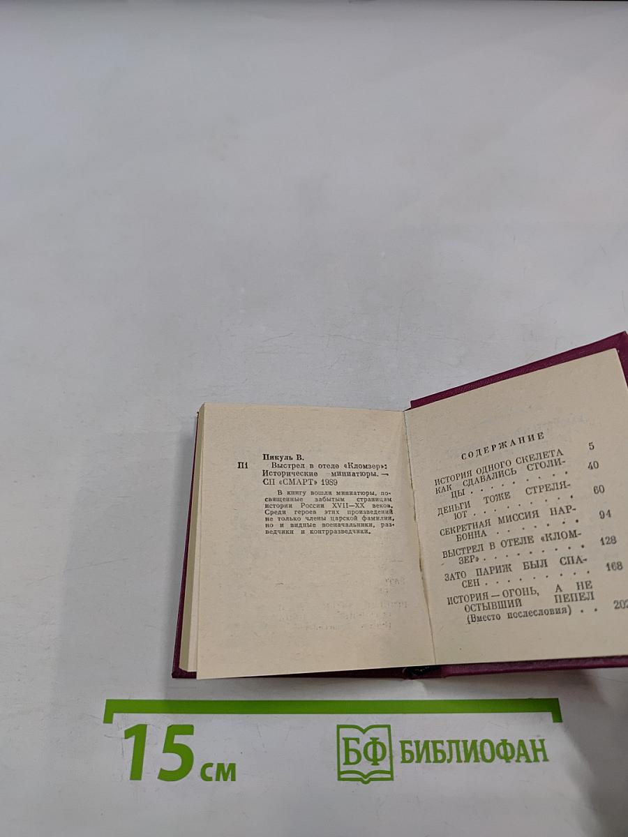 Выстрел в отеле «Кломзер»