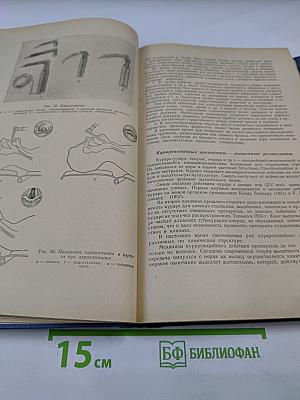 Общая хирургия