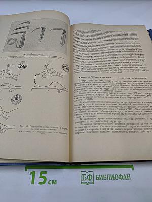 Общая хирургия