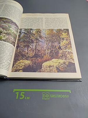 Заповедники европейской части РСФСР. I