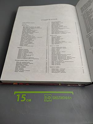 Русское застолье. 1000 блюд