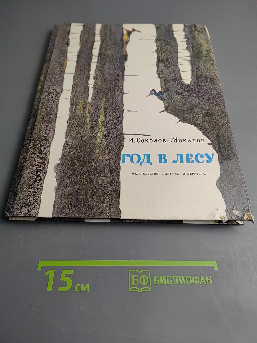 Год в лесу