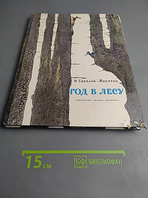 Год в лесу