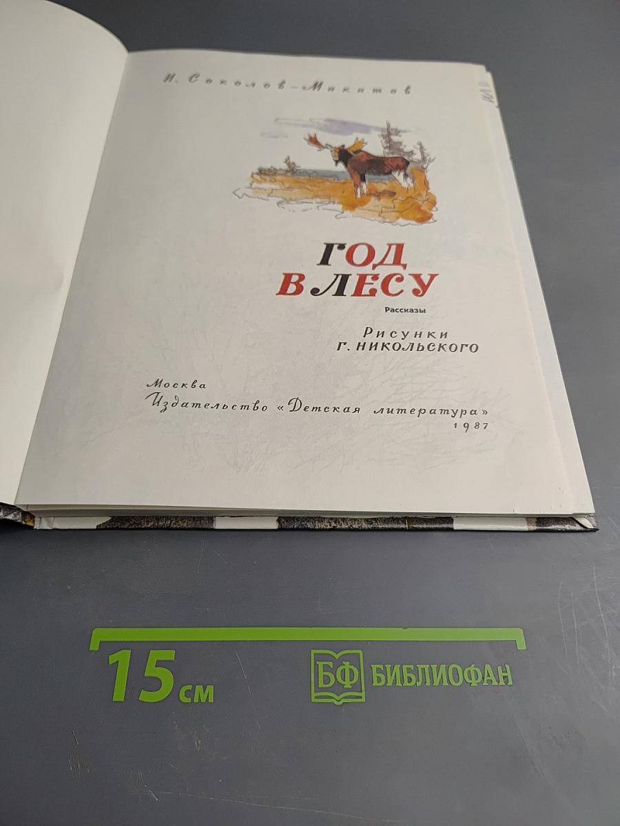 Год в лесу