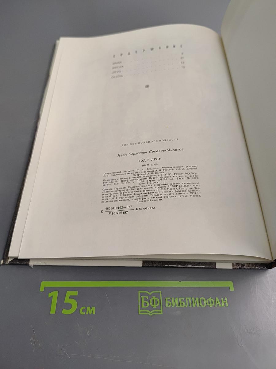 Год в лесу