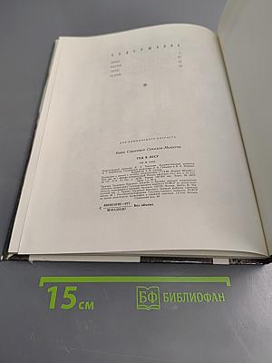 Год в лесу