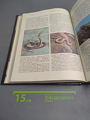 Заповедники СССР. Заповедники Средней Азии и Казахстана