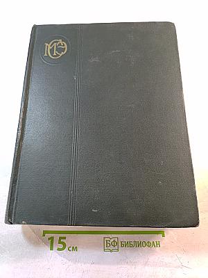 Малая Советская Энциклопедия. Том 10. Хайхэ - Яя