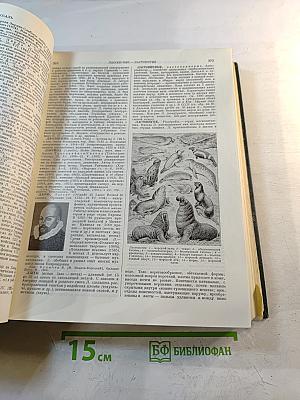 Малая Советская Энциклопедия. Том 5