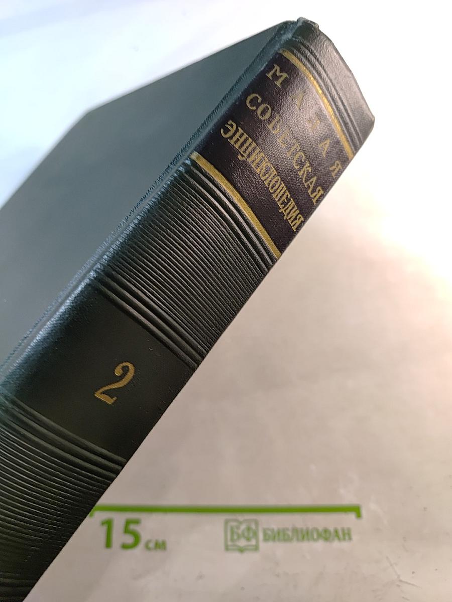 Малая Советская Энциклопедия. Том 2