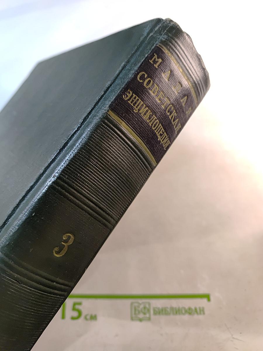 Малая Советская Энциклопедия. Том 3: Горицкий - Плюсос