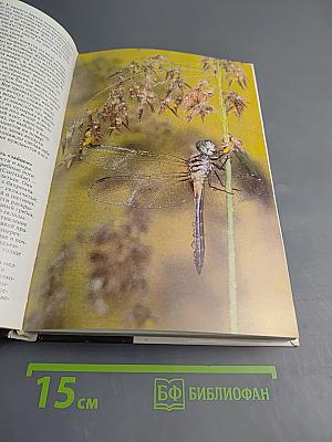 Живой мир рек