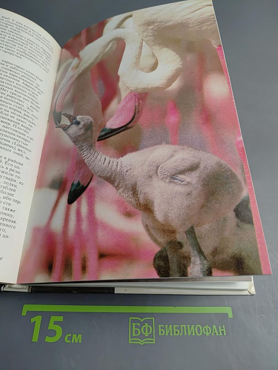 Живой мир рек