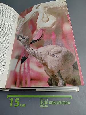 Живой мир рек