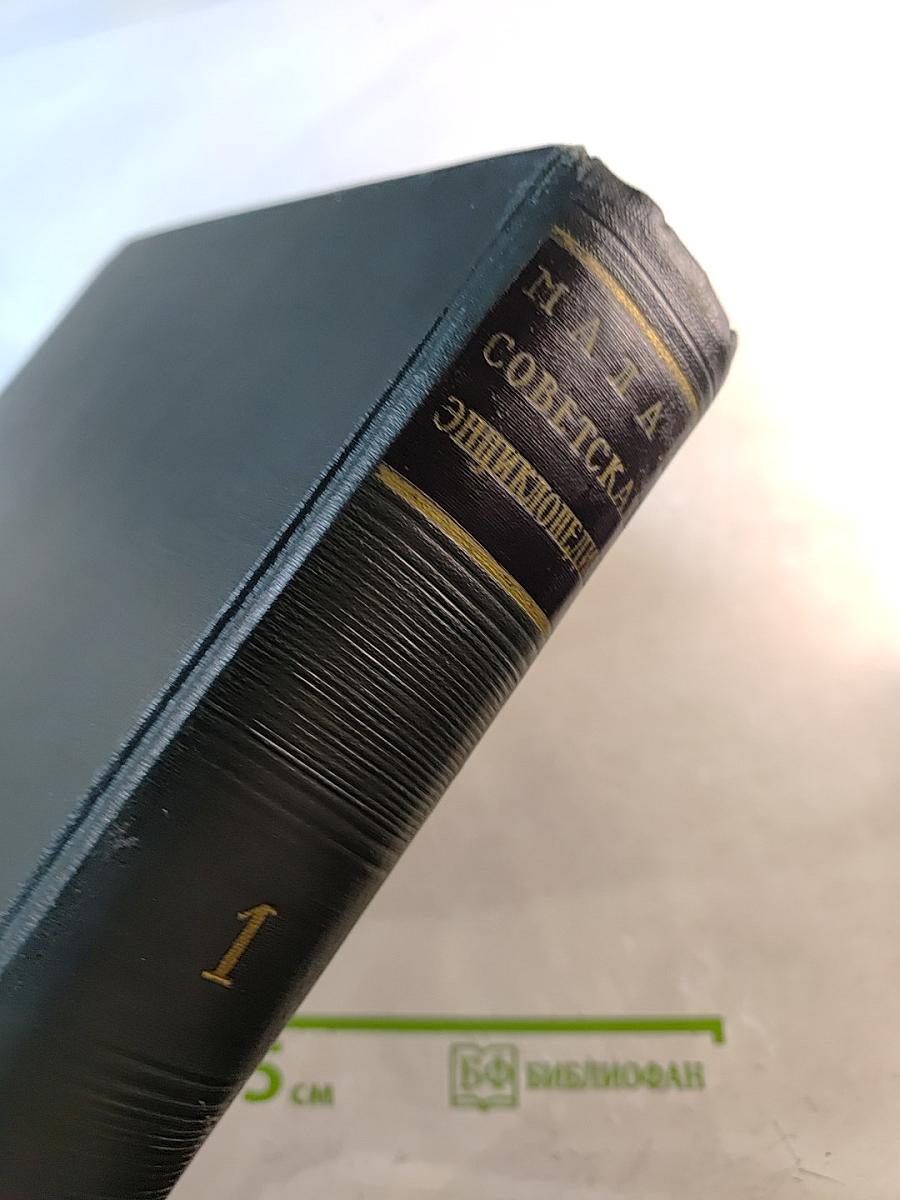 Малая Советская Энциклопедия. Том 1: А - Буковина