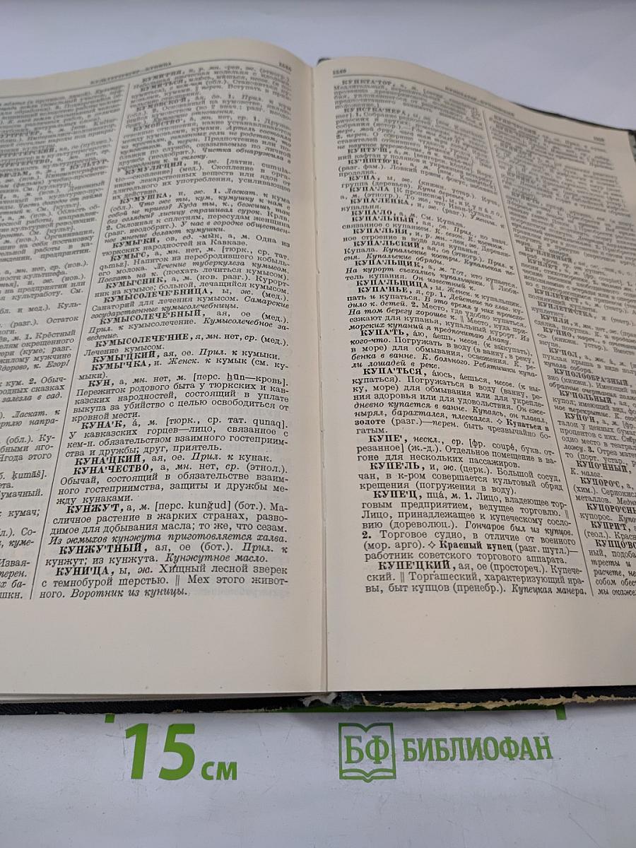 Толковый словарь русского языка. Том I: А-Кюрины