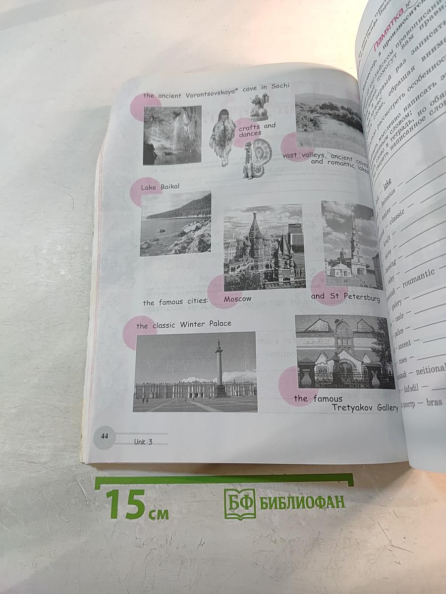 Английский язык. Рабочая тетрадь. 5 класс. Activity Book.