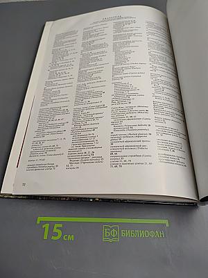 Моллюски. Мир животных