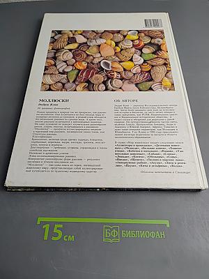 Моллюски. Мир животных