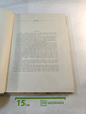 Адам познает мир