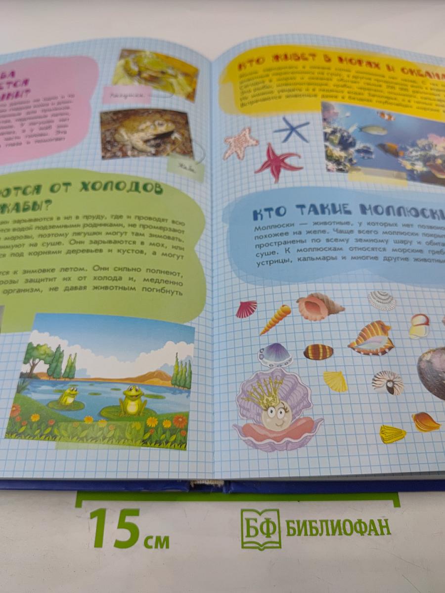 Большая детская энциклопедия в вопросах и ответах